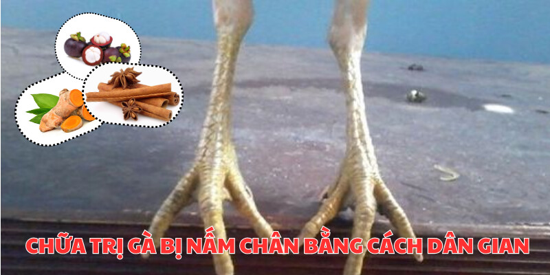 Chữa trị bằng cách dân gian là phương pháp hiệu quả