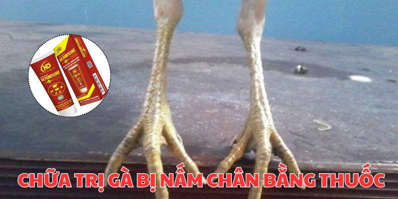 Thận trọng trong việc sử dụng thuốc trị nấm