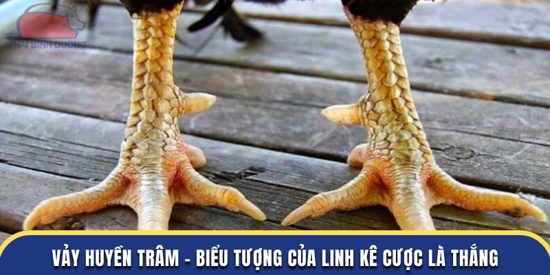 Vảy Huyền Trâm